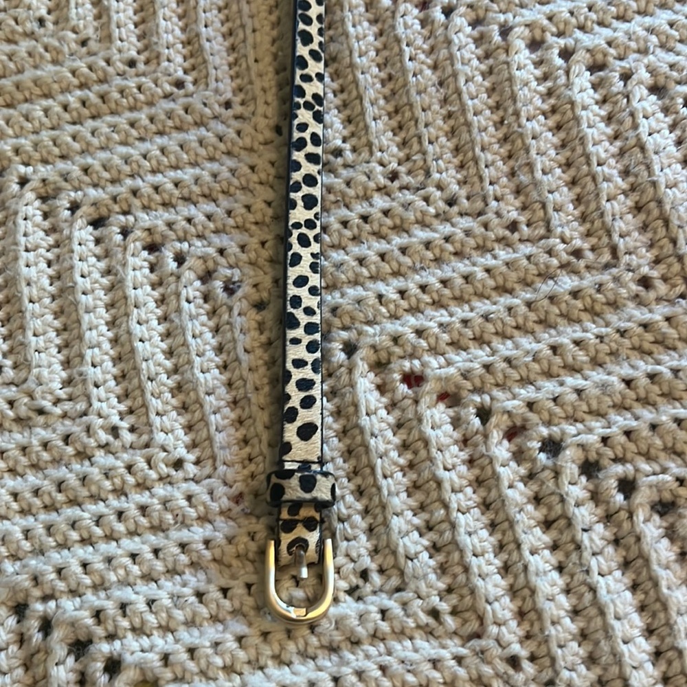 Evereve cheetah belt